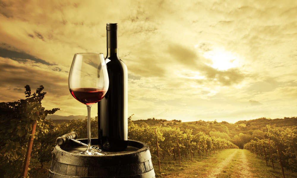 El fascinante mundo de la viticultura