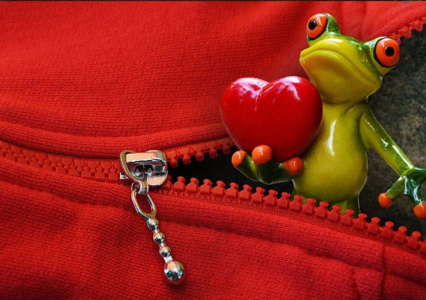 zipper-g6f00aacfb_1280(FILEminimizer)